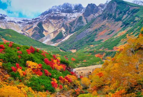 十勝岳温泉の紅葉