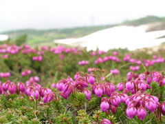 teikan_l3.jpg teikan_l3.jpg