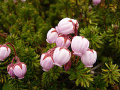 teikan_l4.jpg teikan_l4.jpg