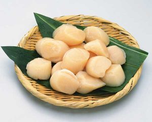 Scallop